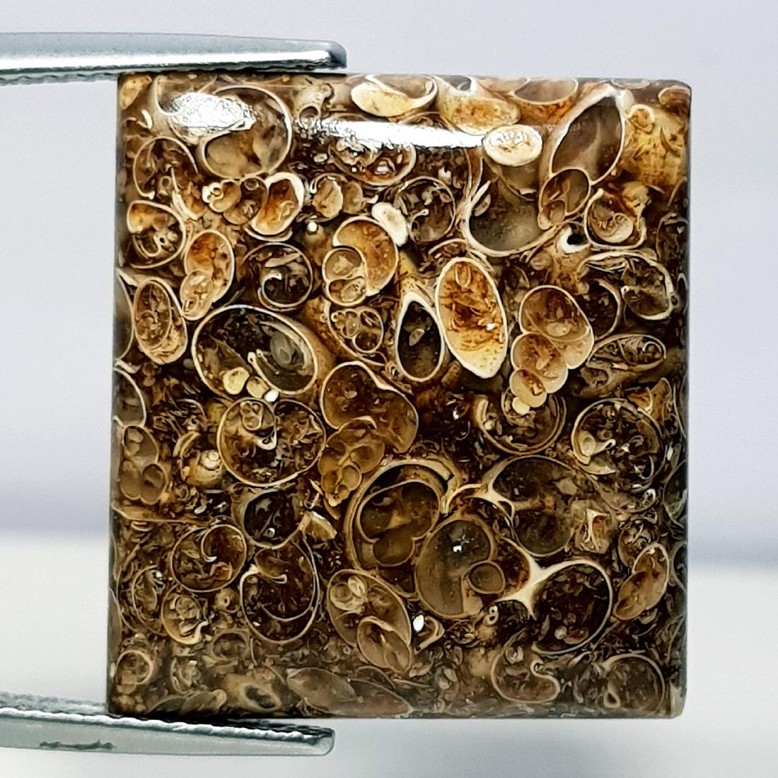 21.29 ct Natural Bronzite (1 of 6)