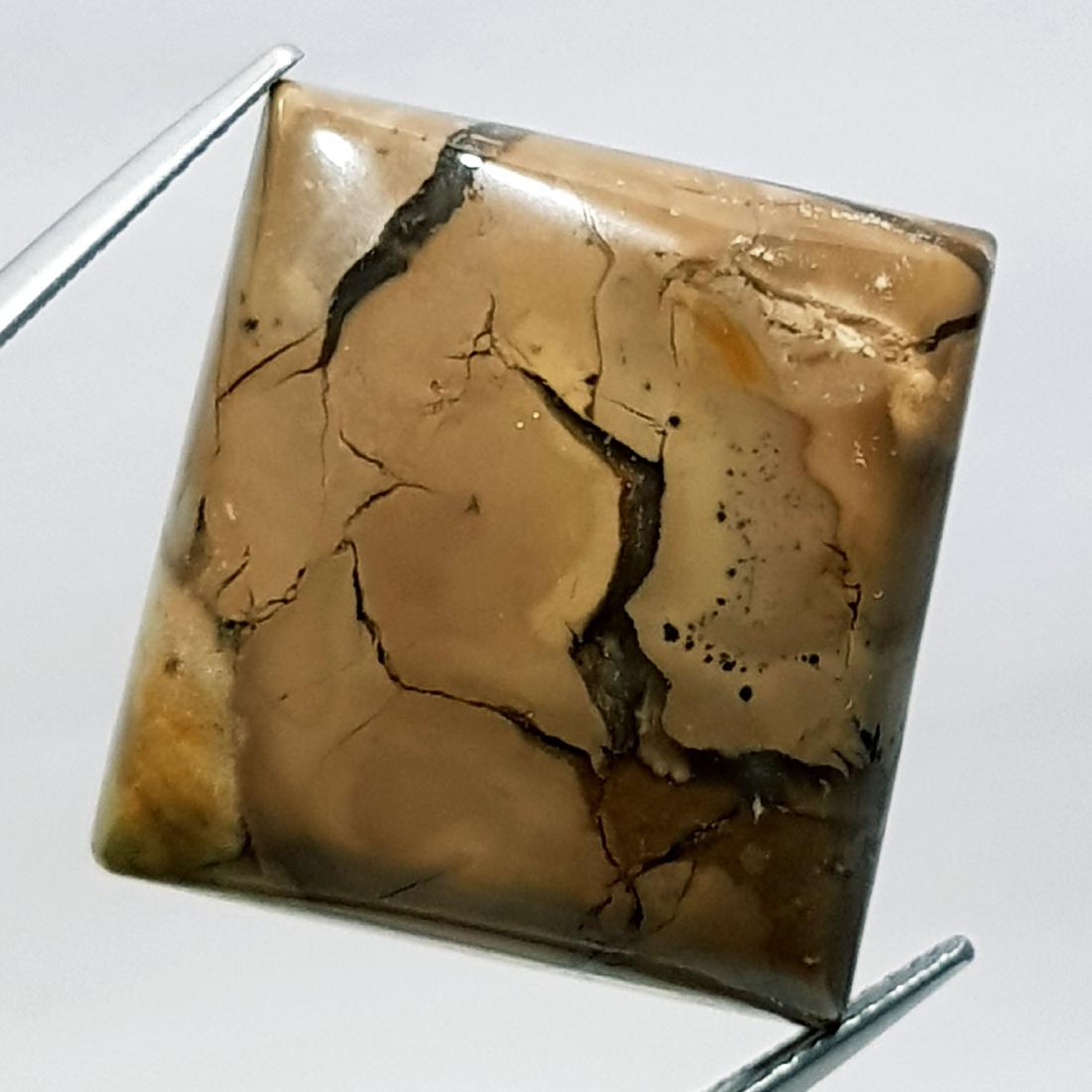 58.50 ct Natural Thunder Agate (1 of 5)