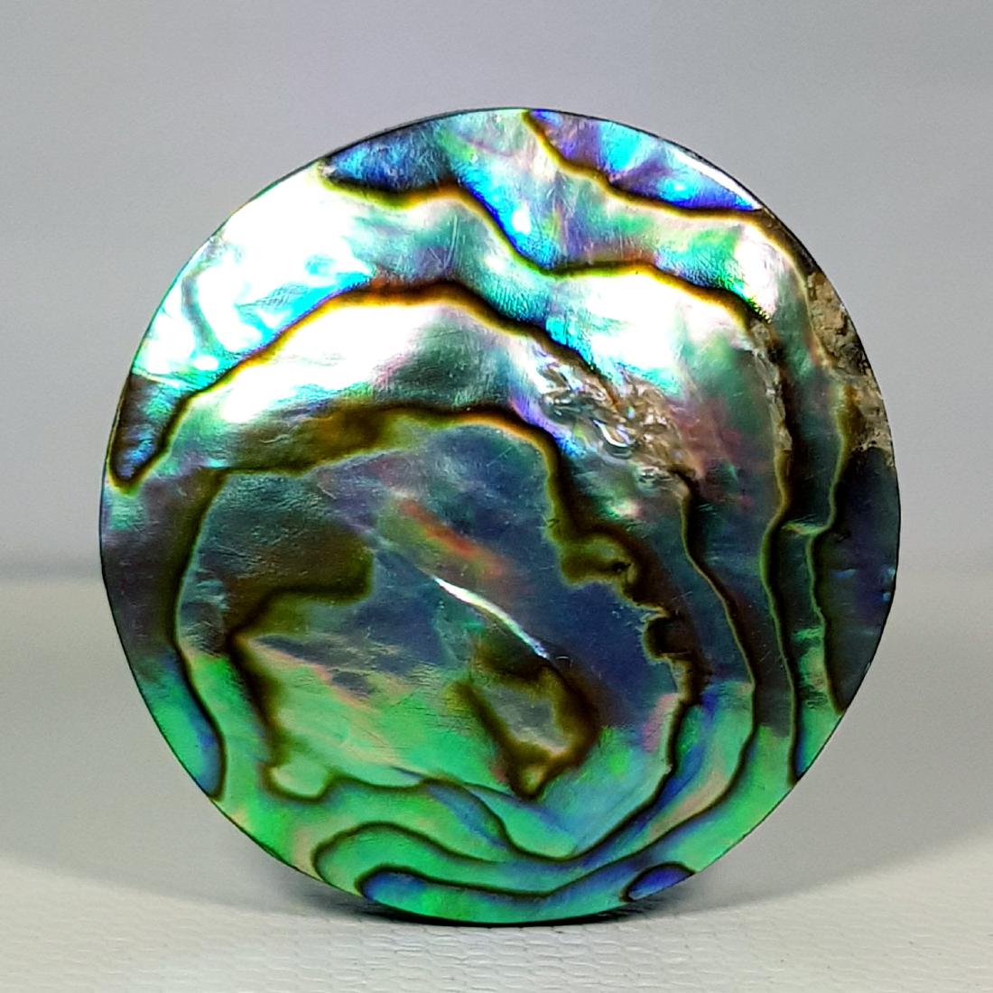 40.45 ct  Australian Abalon (1 of 6)