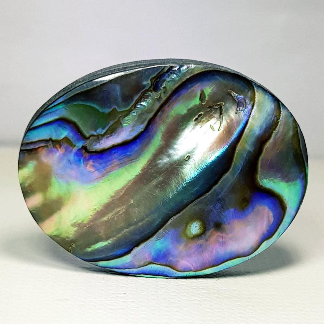 36.45 ct  Australian Abalon (1 of 5)