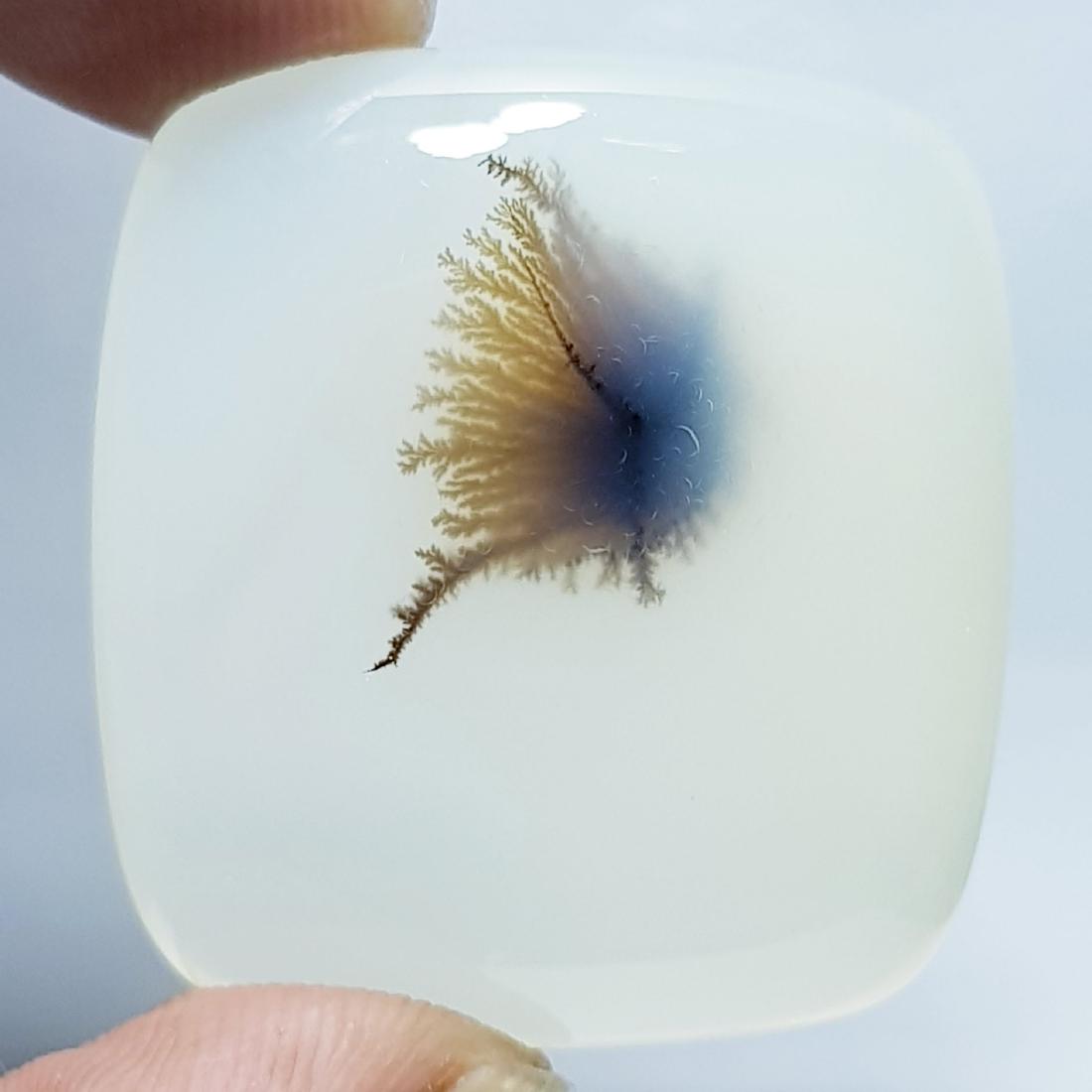 54.20 ct Natural Solar Fossil (1 of 6)