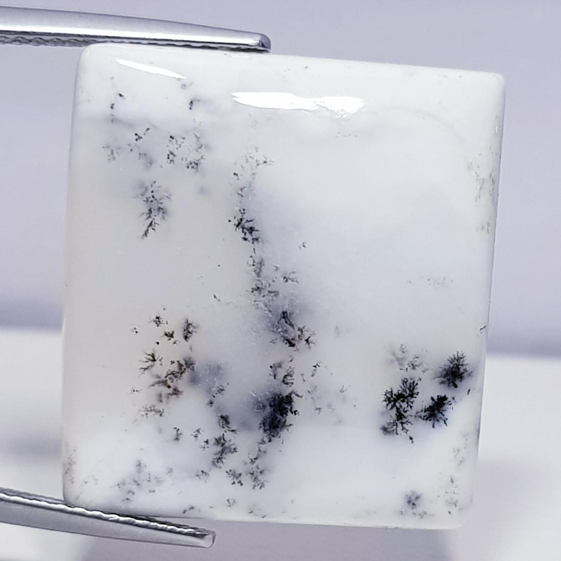 31.05 ct Natural Dendrite Opal (1 of 6)