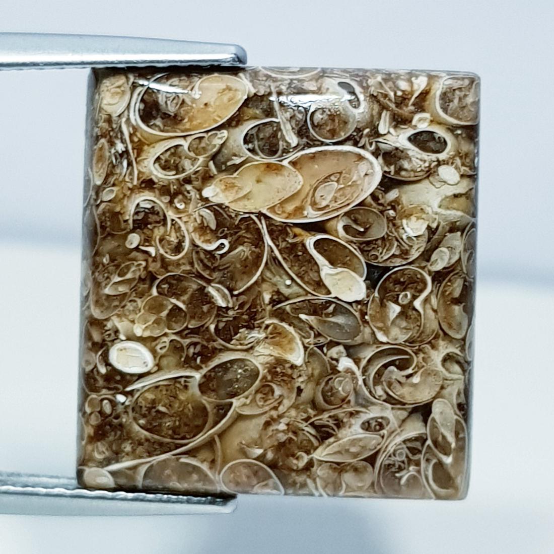 14.20 ct Natural Bronzite (1 of 6)