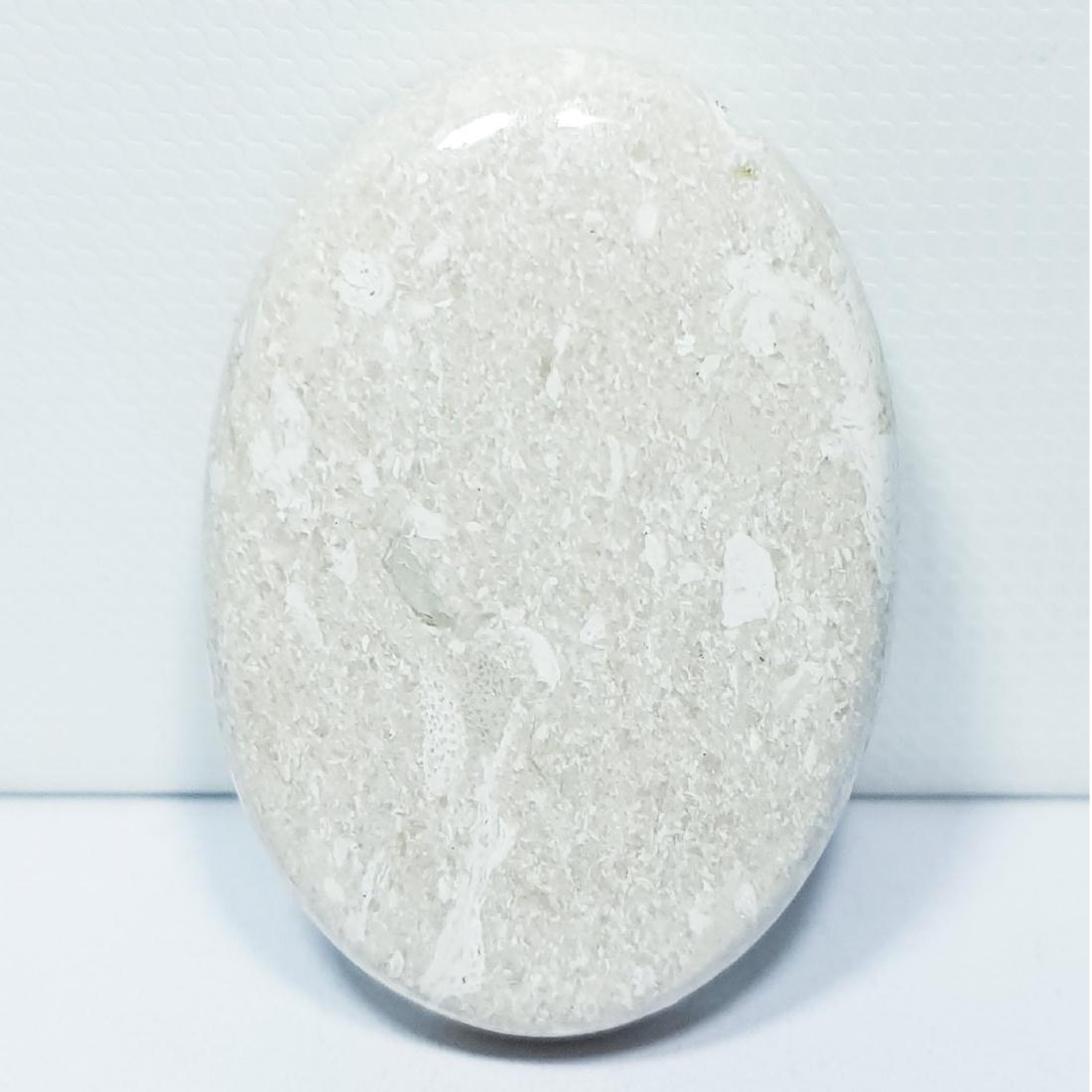 59.50 ct Natural Howlite (1 of 5)