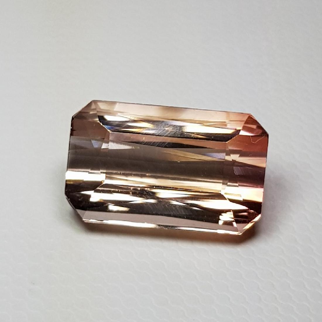 7.04 ct " Collective Gem"Octagon Cut Natural Tourmaline (1 of 5)