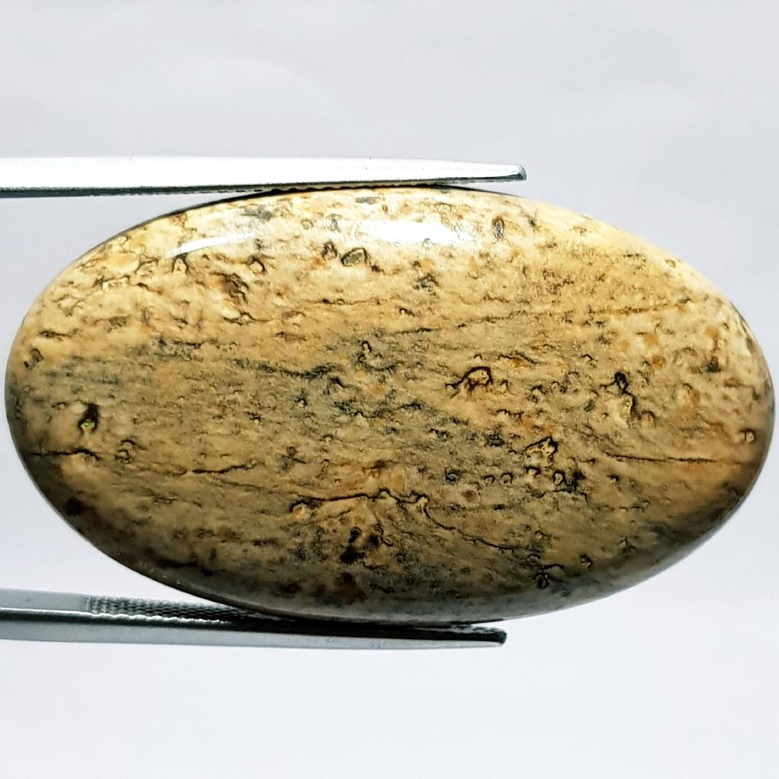 47.05 ct Natural Picture Jasper (1 of 6)