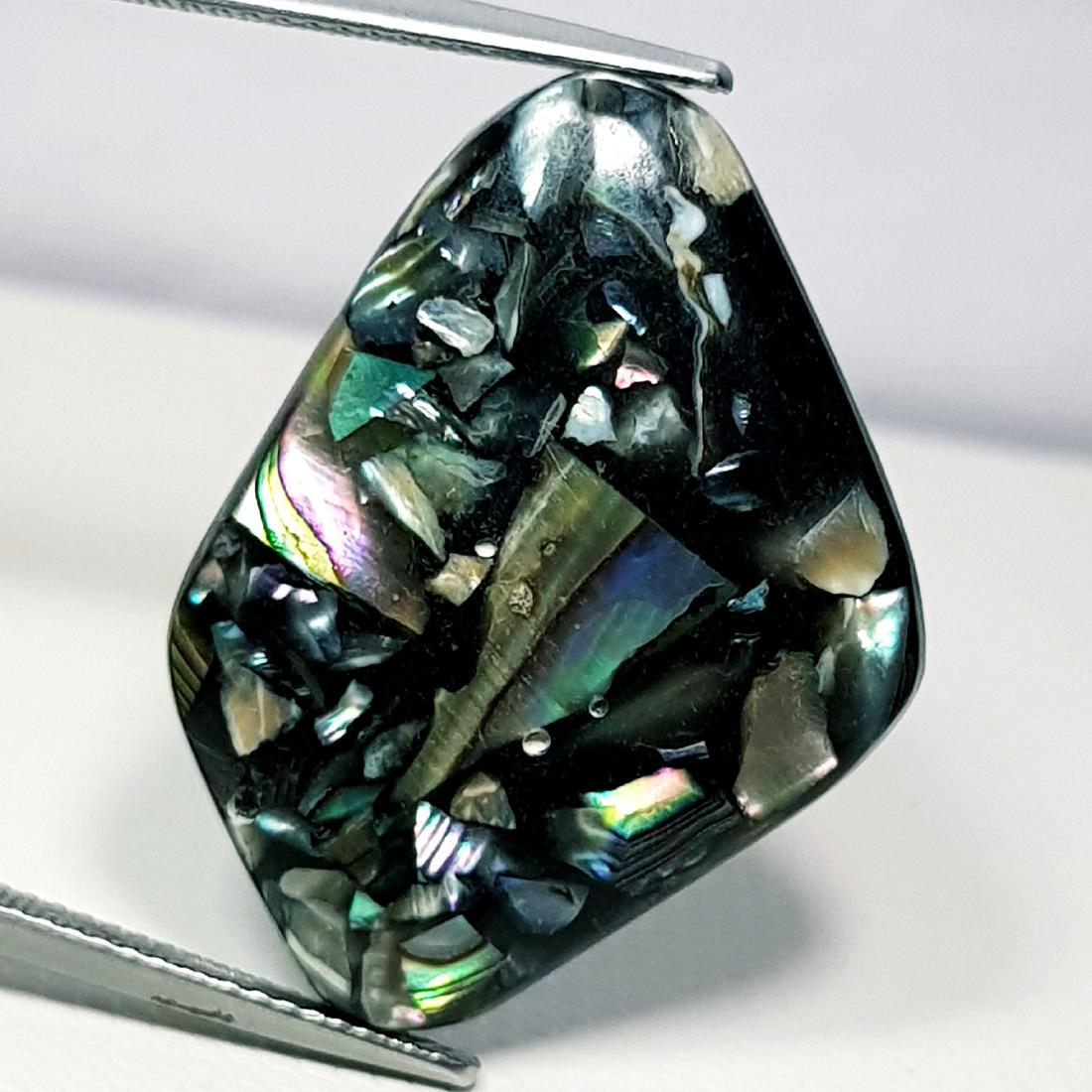 17.17 ct Doublet Abalone (1 of 6)