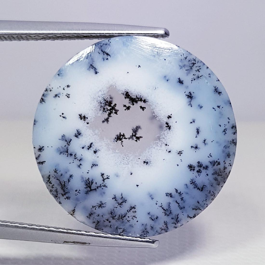 8.95 ct Natural Dendrite Opal (1 of 6)