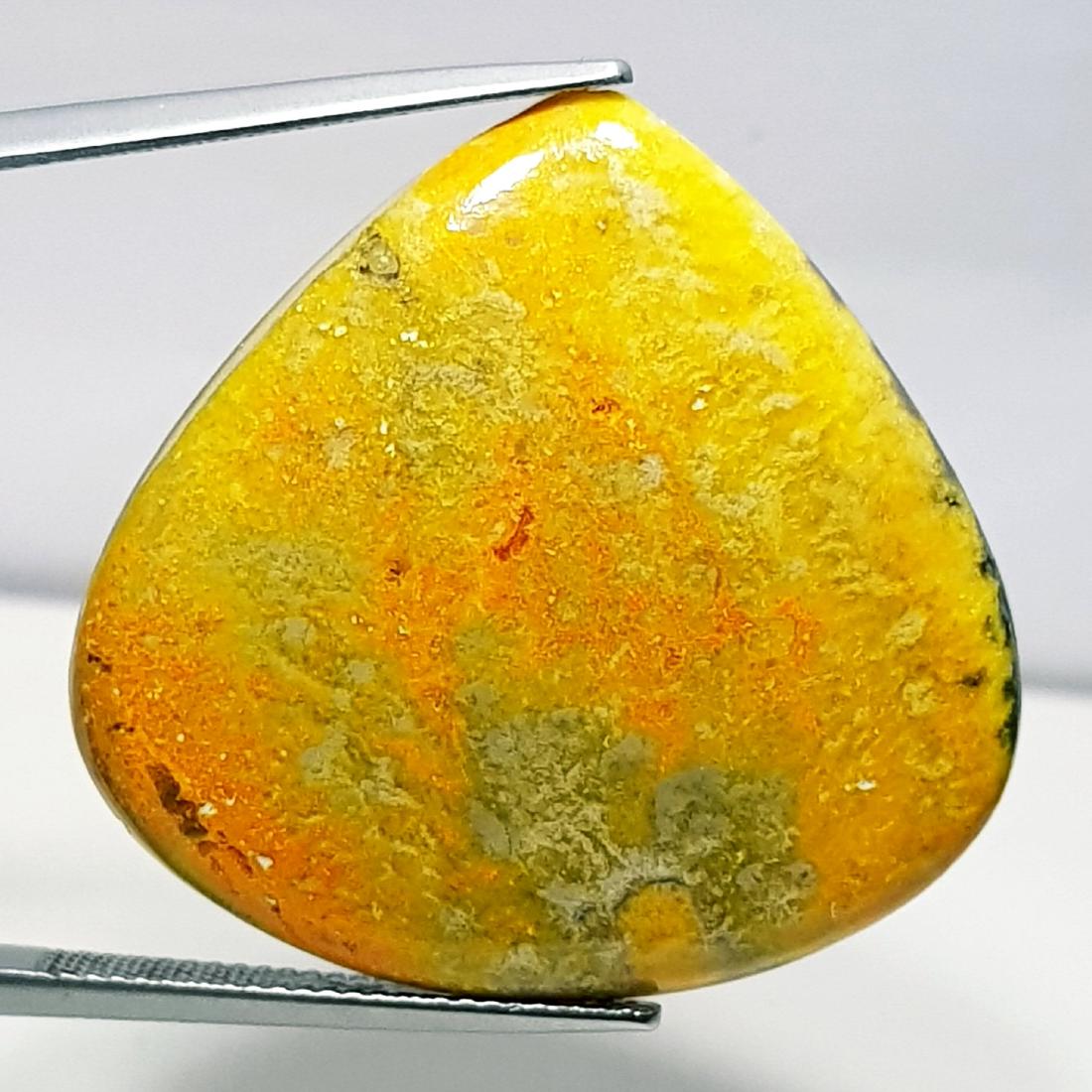 30.70 ct Natural Bumble Bee Jasper (1 of 5)