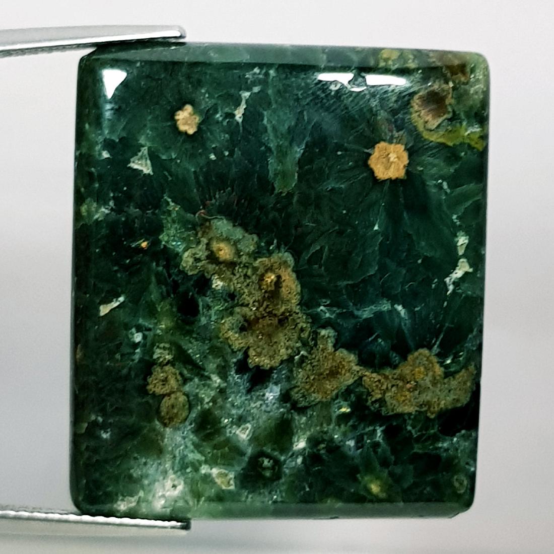 39.35 ct Natural Ocean Jasper (1 of 5)