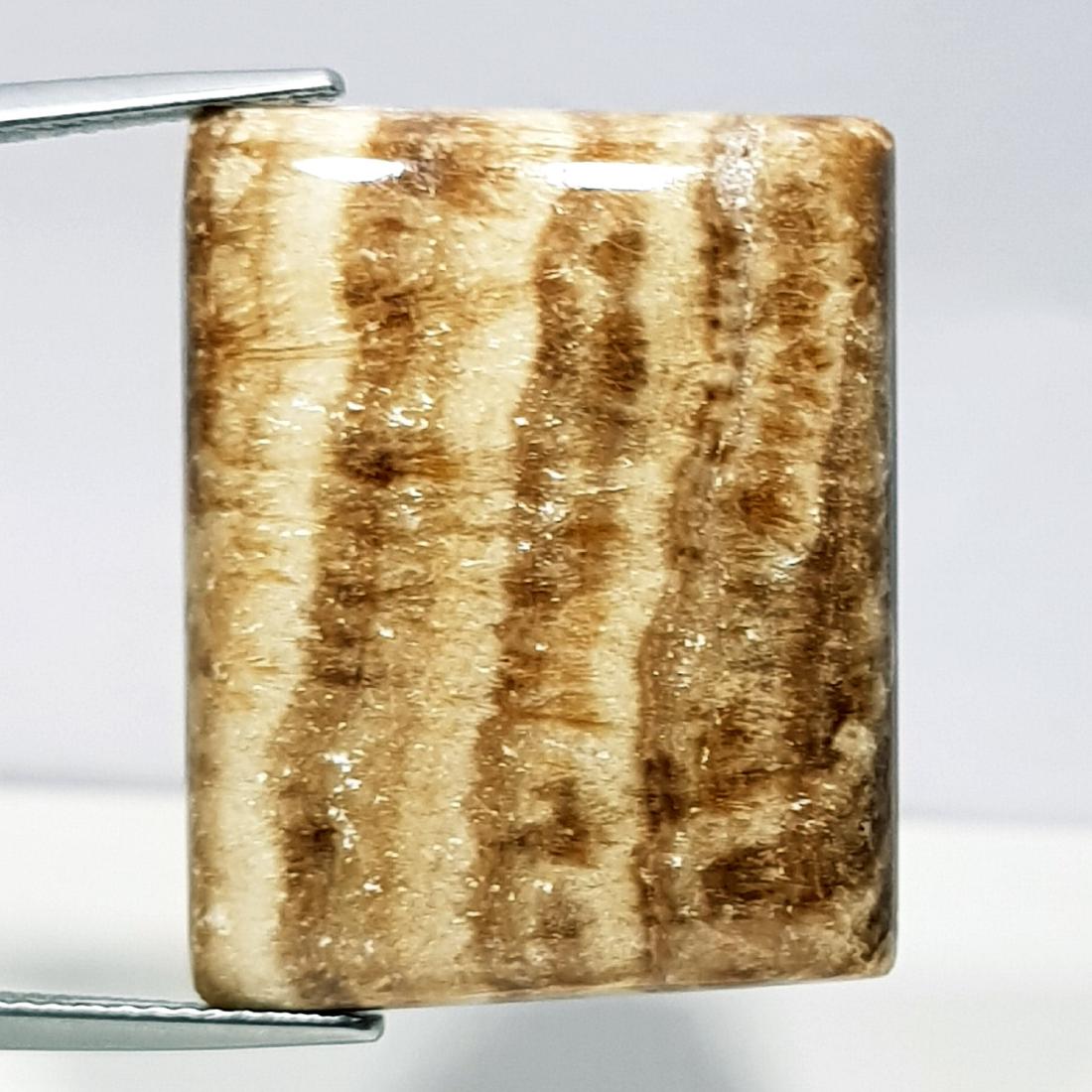 32.45 ct  Natural Aragonite (1 of 6)