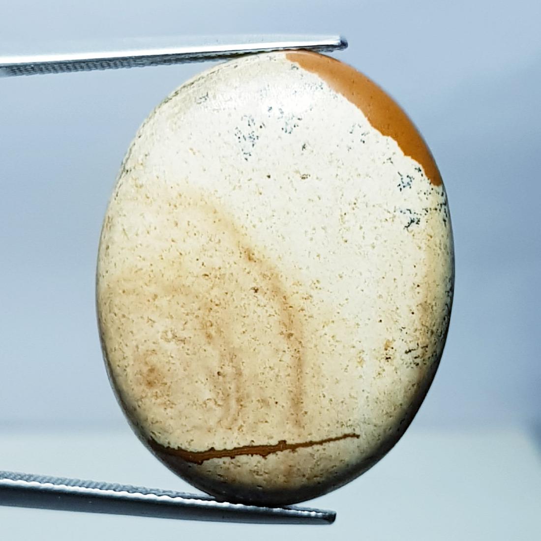 32.13 ct Natural China Jasper (1 of 5)