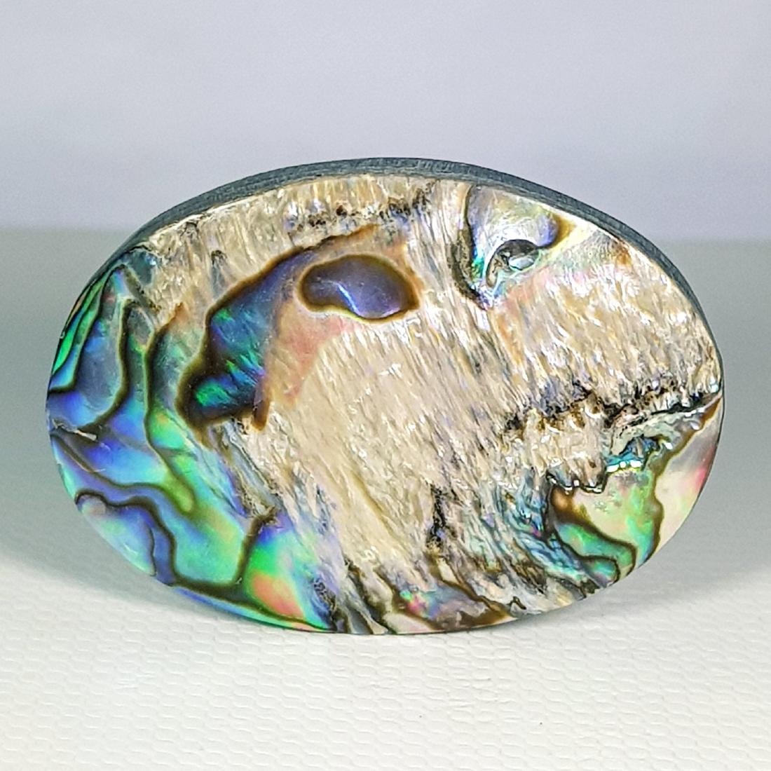 34.35 ct  Australian Abalon (1 of 6)