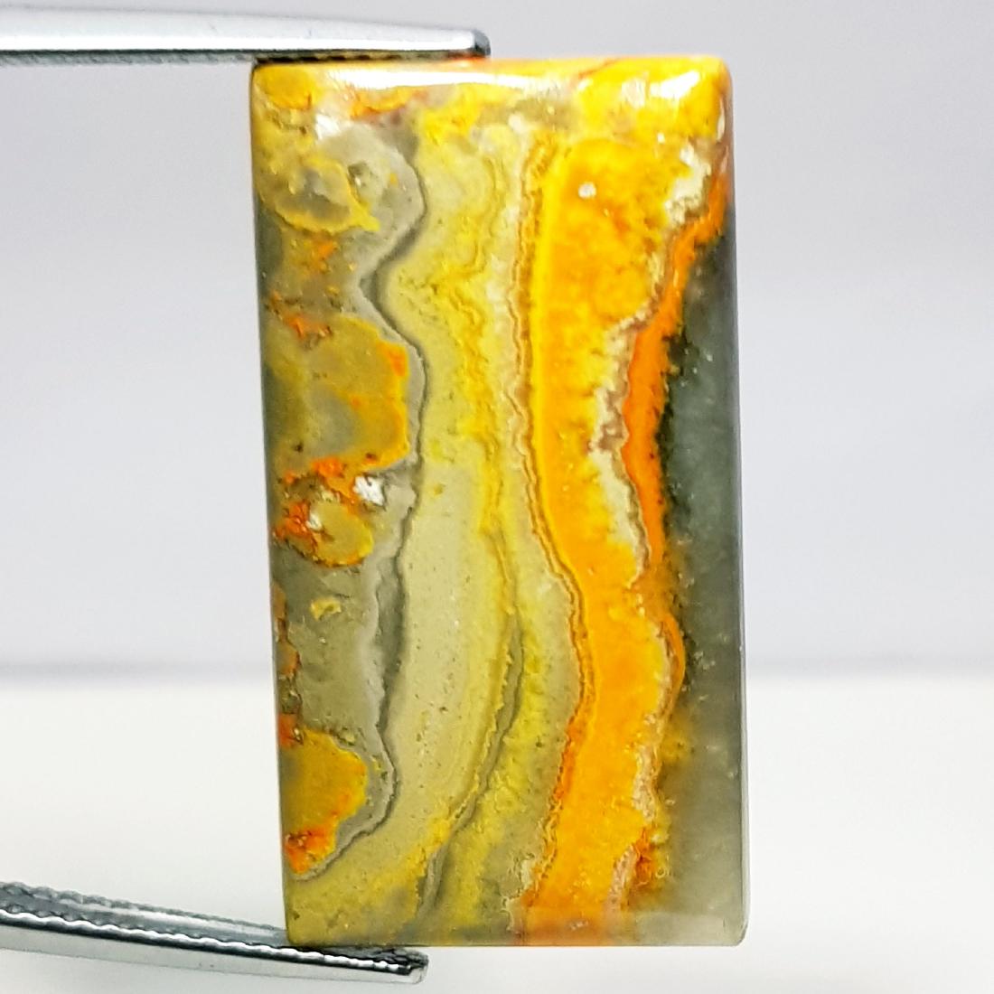 21.20 ct Natural Bumble Bee Jasper (1 of 5)