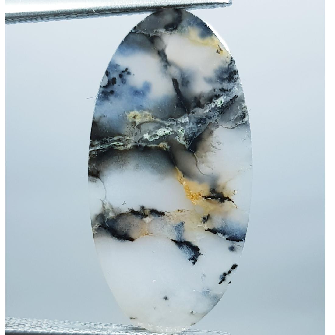 8.40 ct Natural Dendrite Opal (1 of 5)