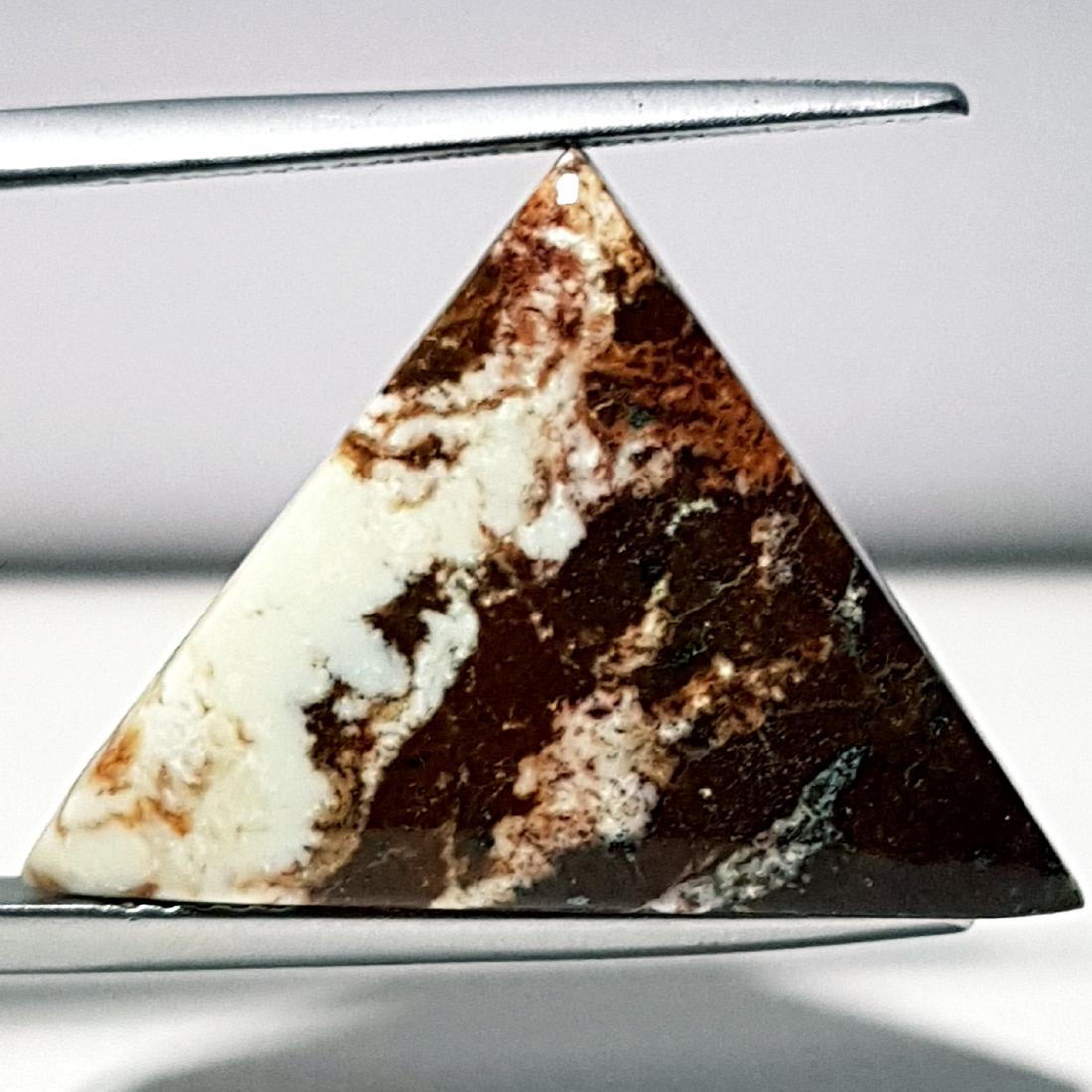 20.80 ct Natural China Jasper (1 of 6)