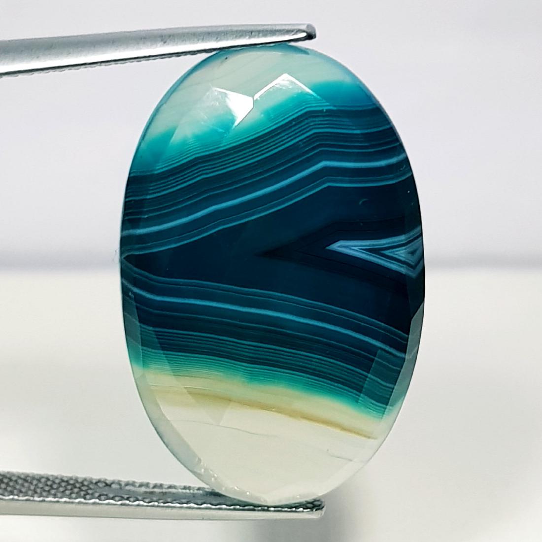 27.15 ct Natural Green Lace Agate (1 of 5)