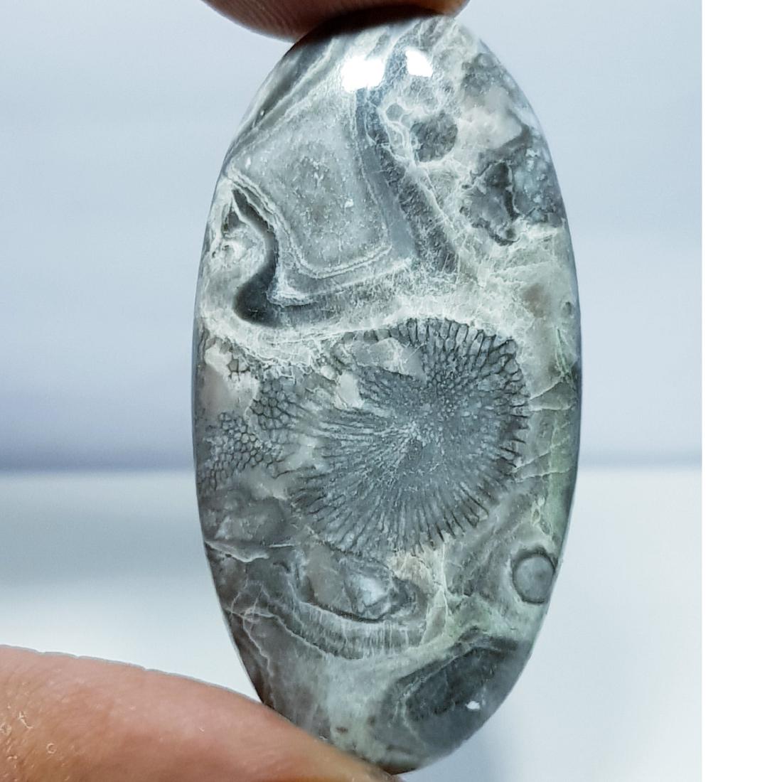 41.50 ct Natural Exotic Jasper (1 of 5)