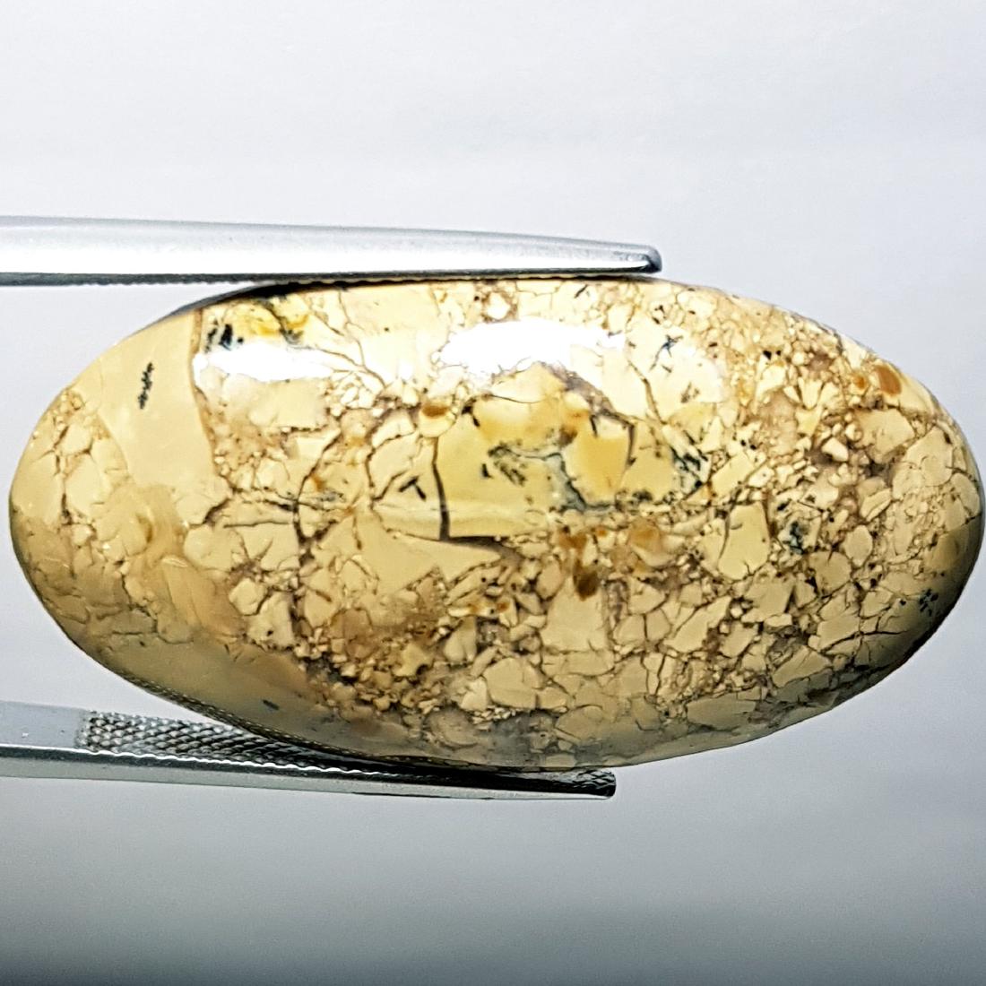 39.10 ct Natural Thunder Agate (1 of 6)