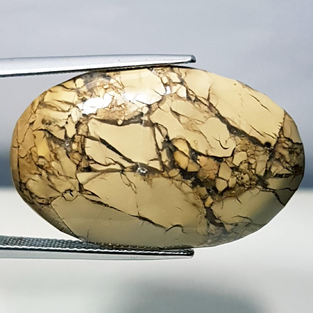 29.80 ct Natural Thunder Agate (1 of 6)