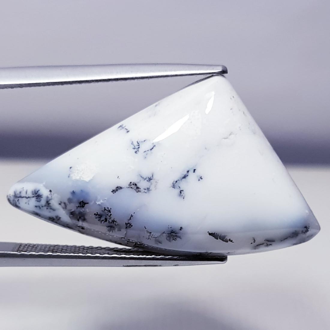 23.35 ct Natural Dendrite Opal (1 of 6)