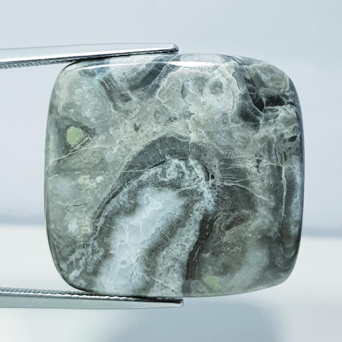 35.30 ct Natural Exotic Jasper (1 of 5)