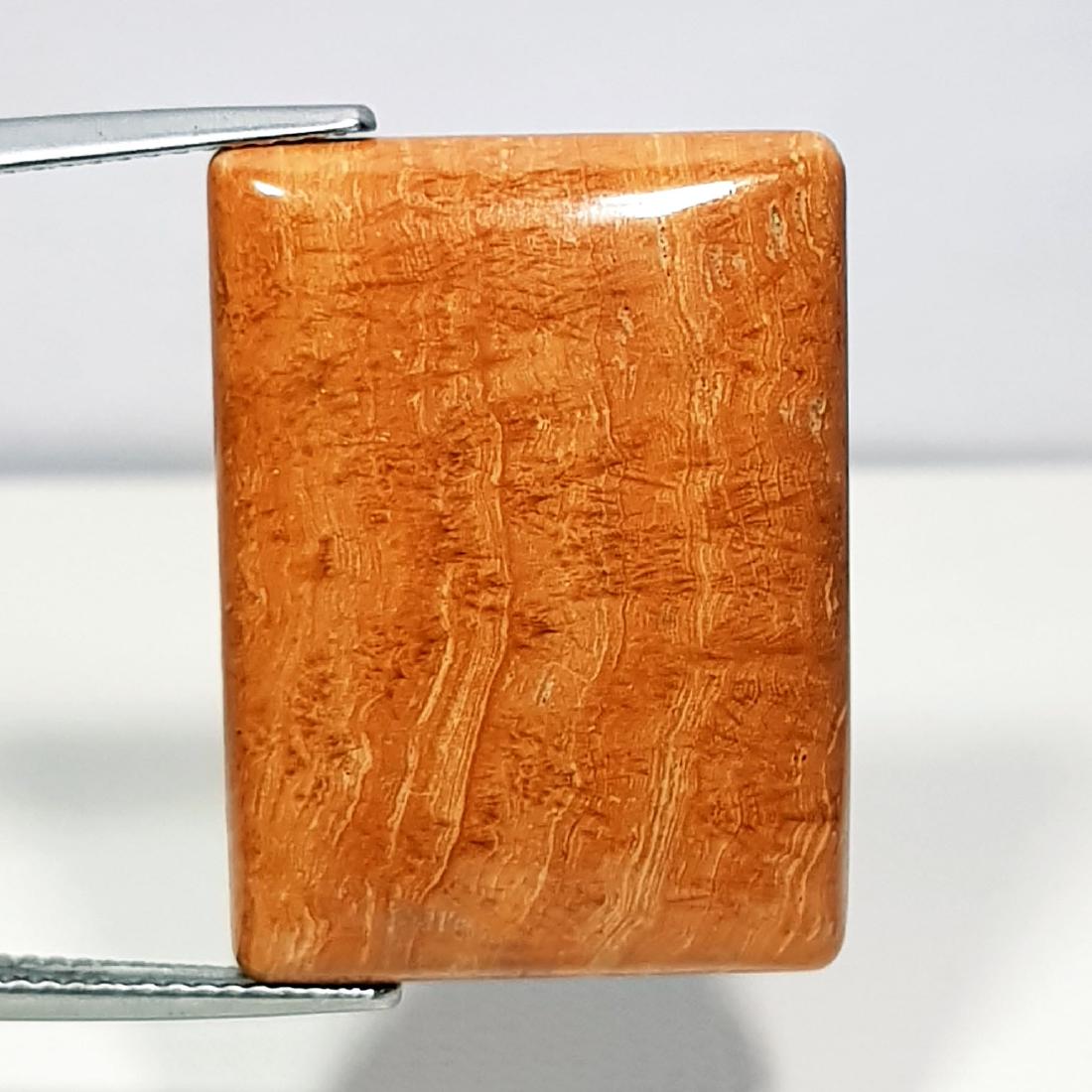 29.95 ct Natural Chocolate Jasper (1 of 4)