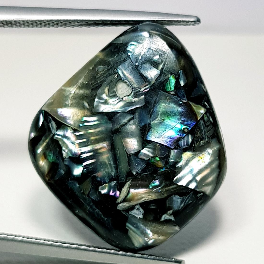 18.10 ct Doublet Abalone (1 of 5)