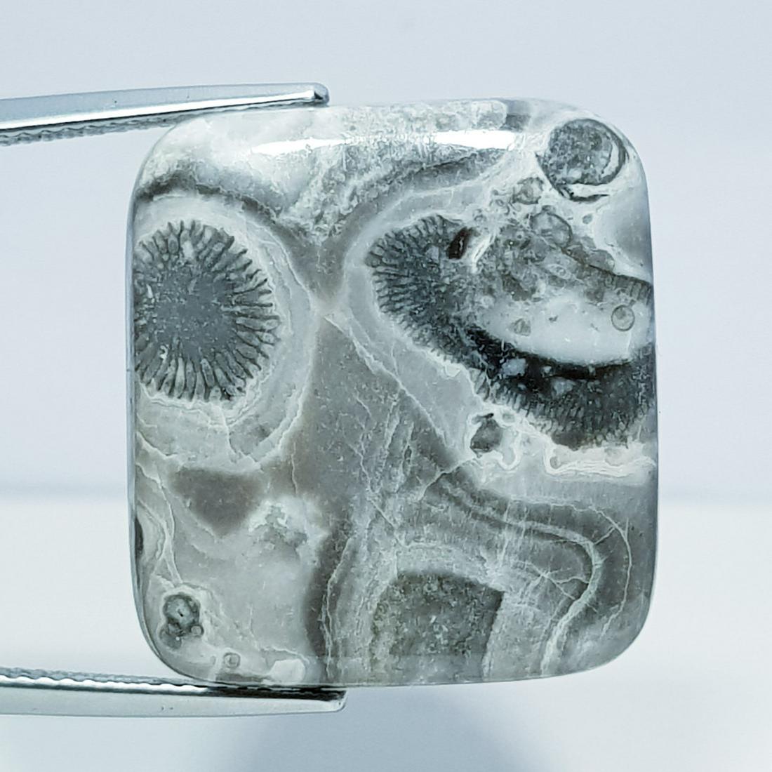 25.40 ct Natural Exotic Jasper (1 of 5)