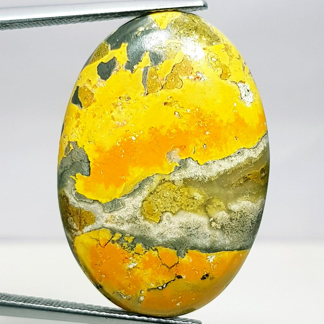 25.35 ct Natural Bumble Bee Jasper (1 of 5)