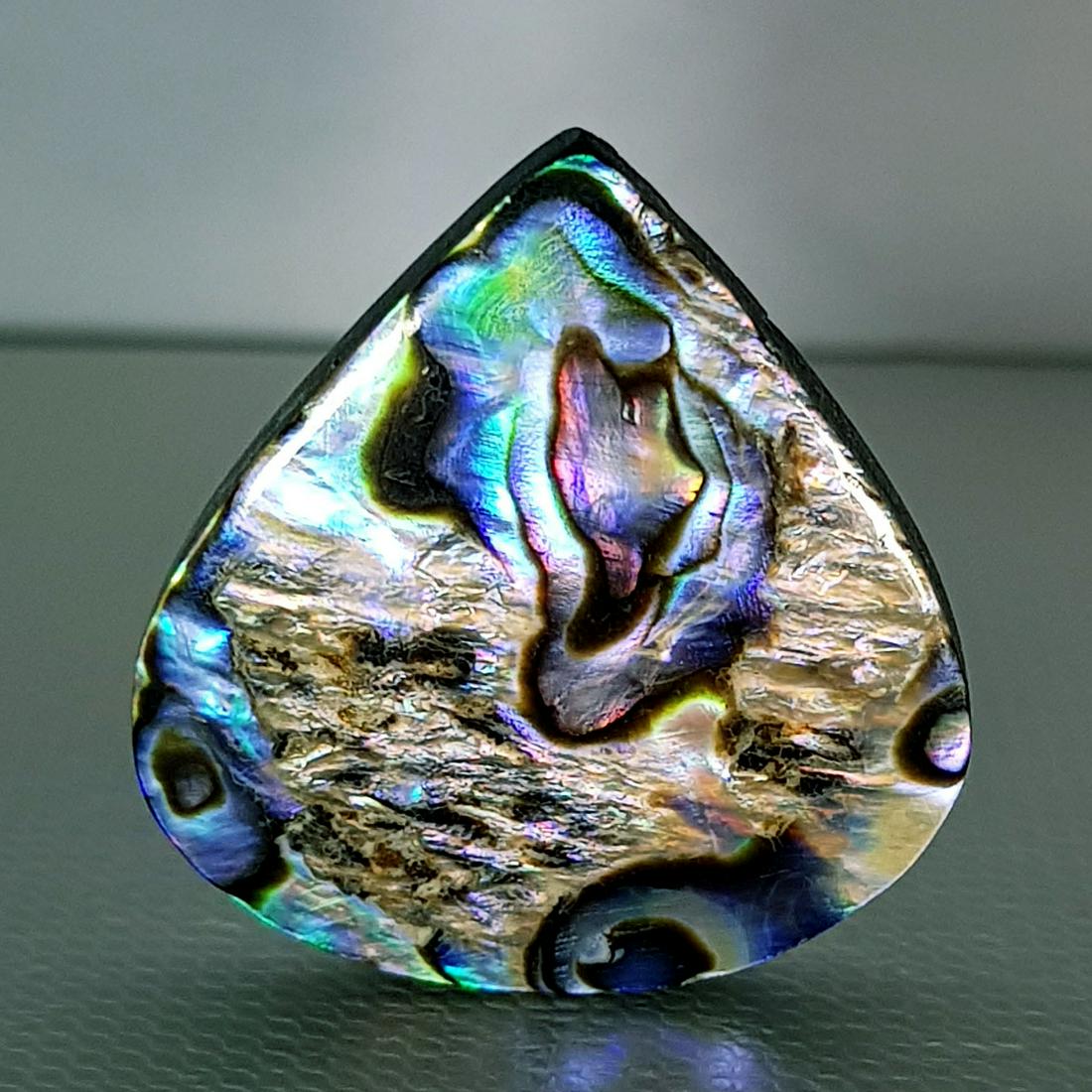 26.05 ct  Australian Abalon (1 of 4)