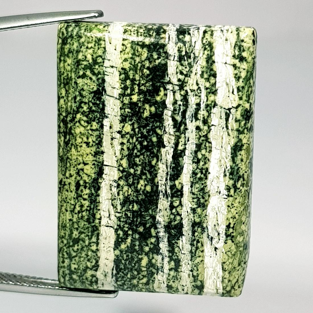 38.95 ct Natural Green Suzi Opal (1 of 5)