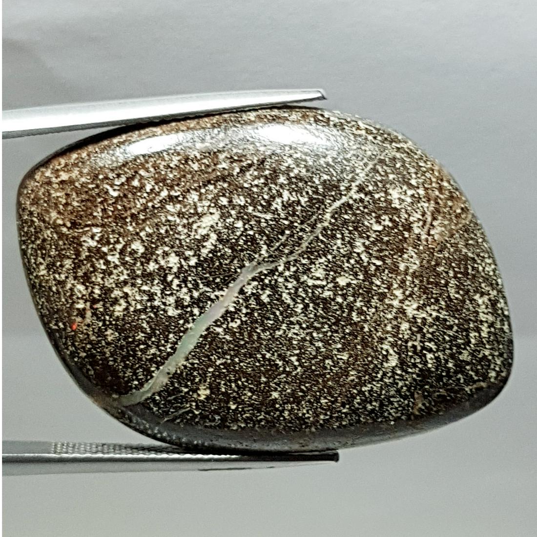 47.20  Natural Boulder Opal (1 of 6)