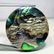 36.40 ct Australian Abalon - 3