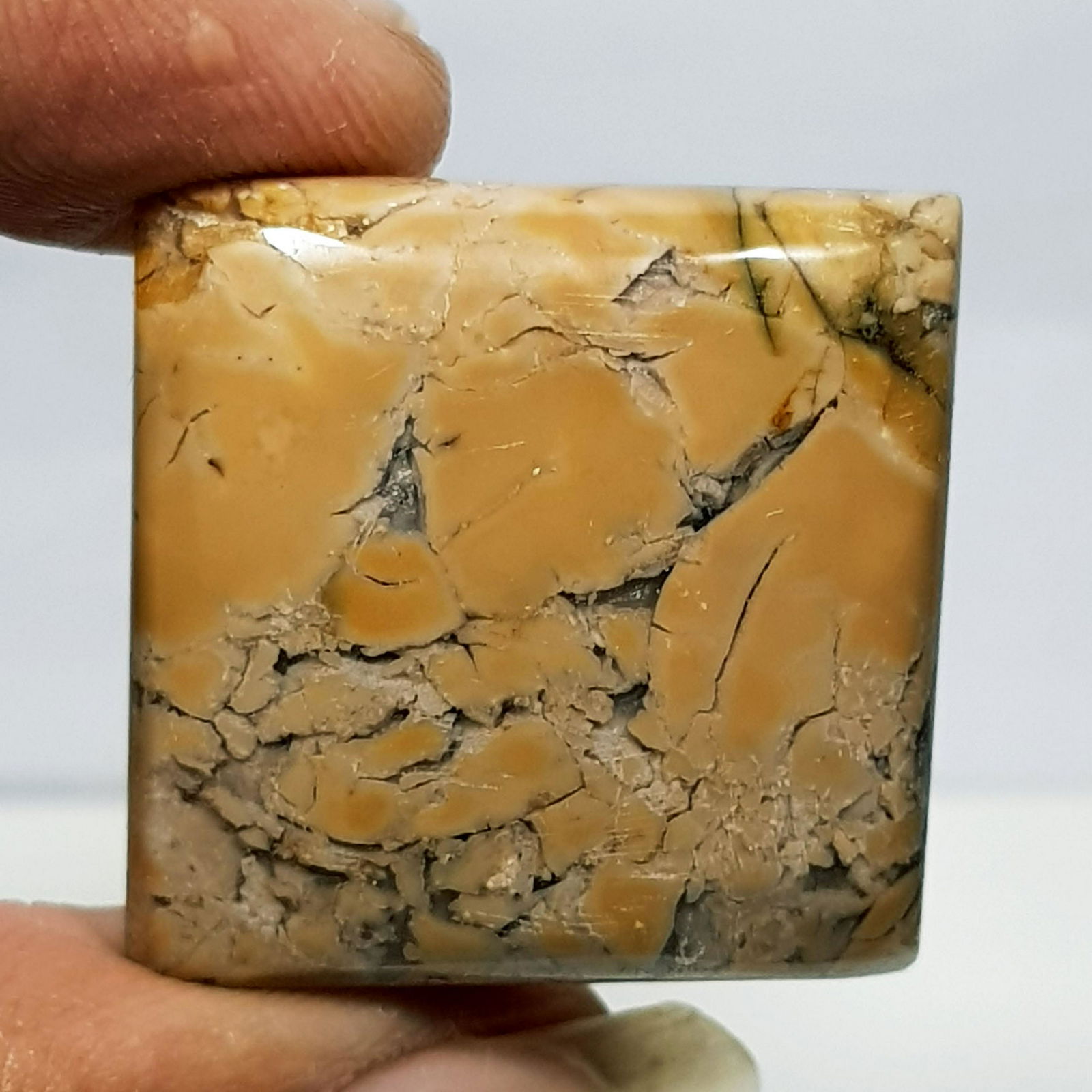 48.75 ct Natural Thunder Agate (1 of 6)