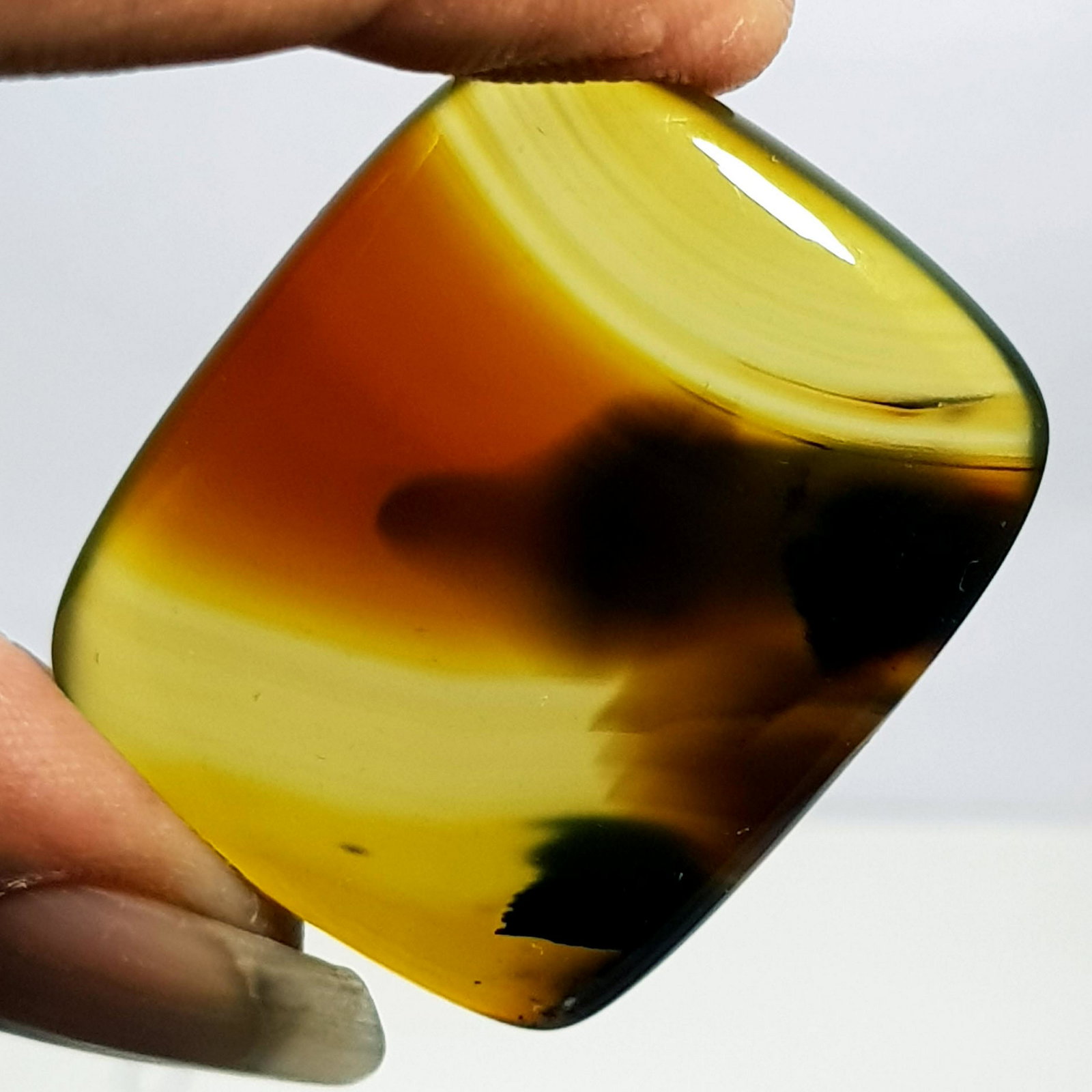 60.50 ct Natural Solar Fossil (1 of 5)