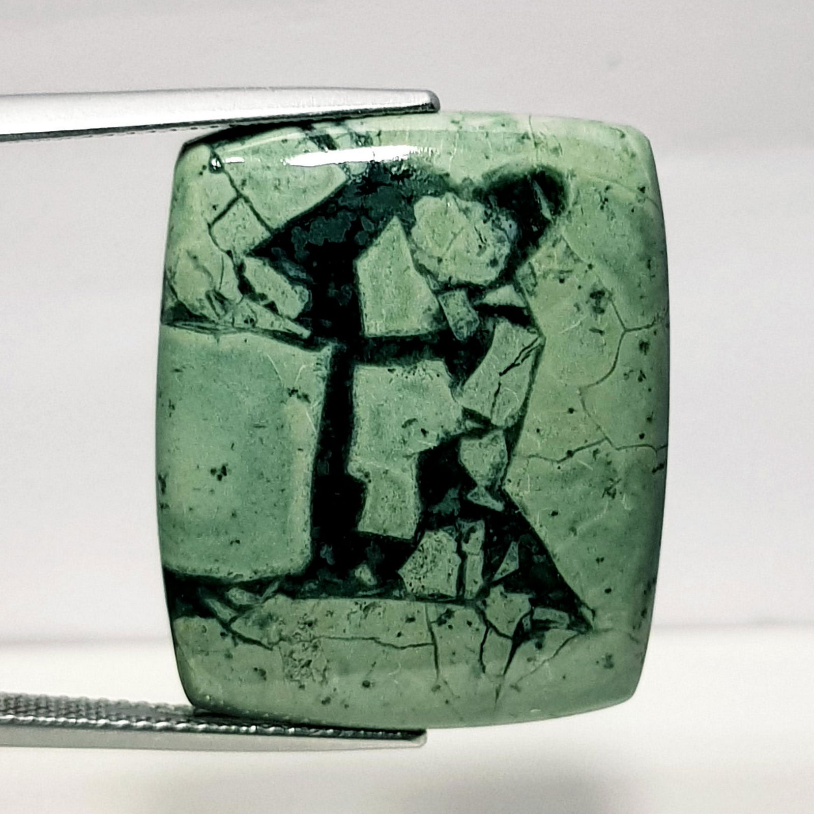 31.00 ct Natural Bracketed Turquoise (1 of 6)