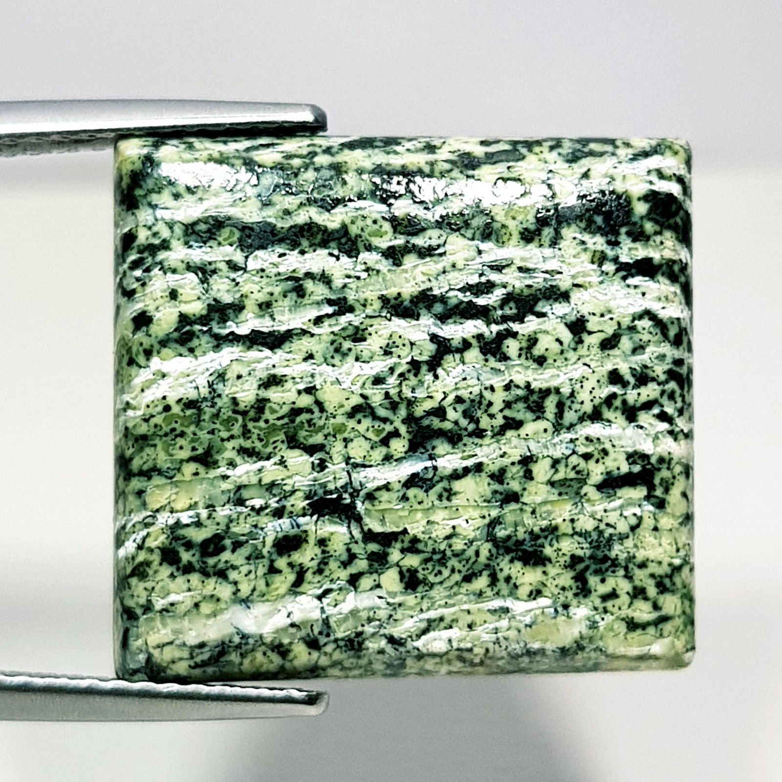 13.70 ct Natural Green Suzi Opal (1 of 6)