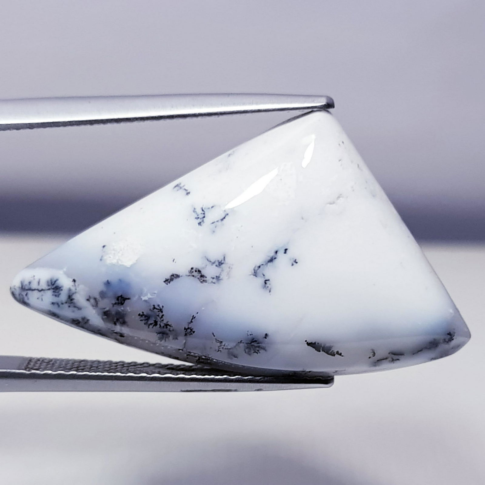 23.35 ct Natural Dendrite Opal (1 of 6)