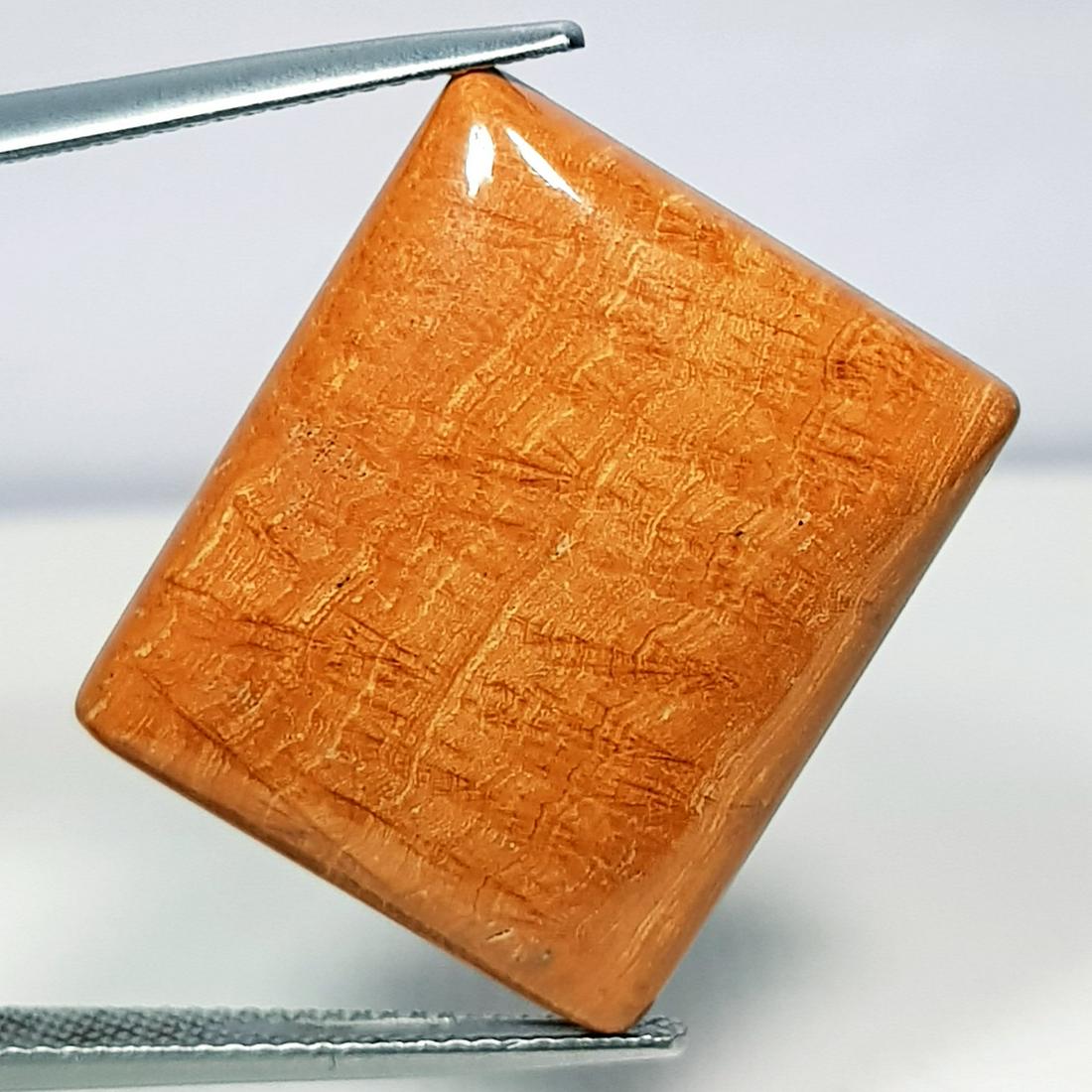 27.75 ct Natural Chocolate Jasper (1 of 5)