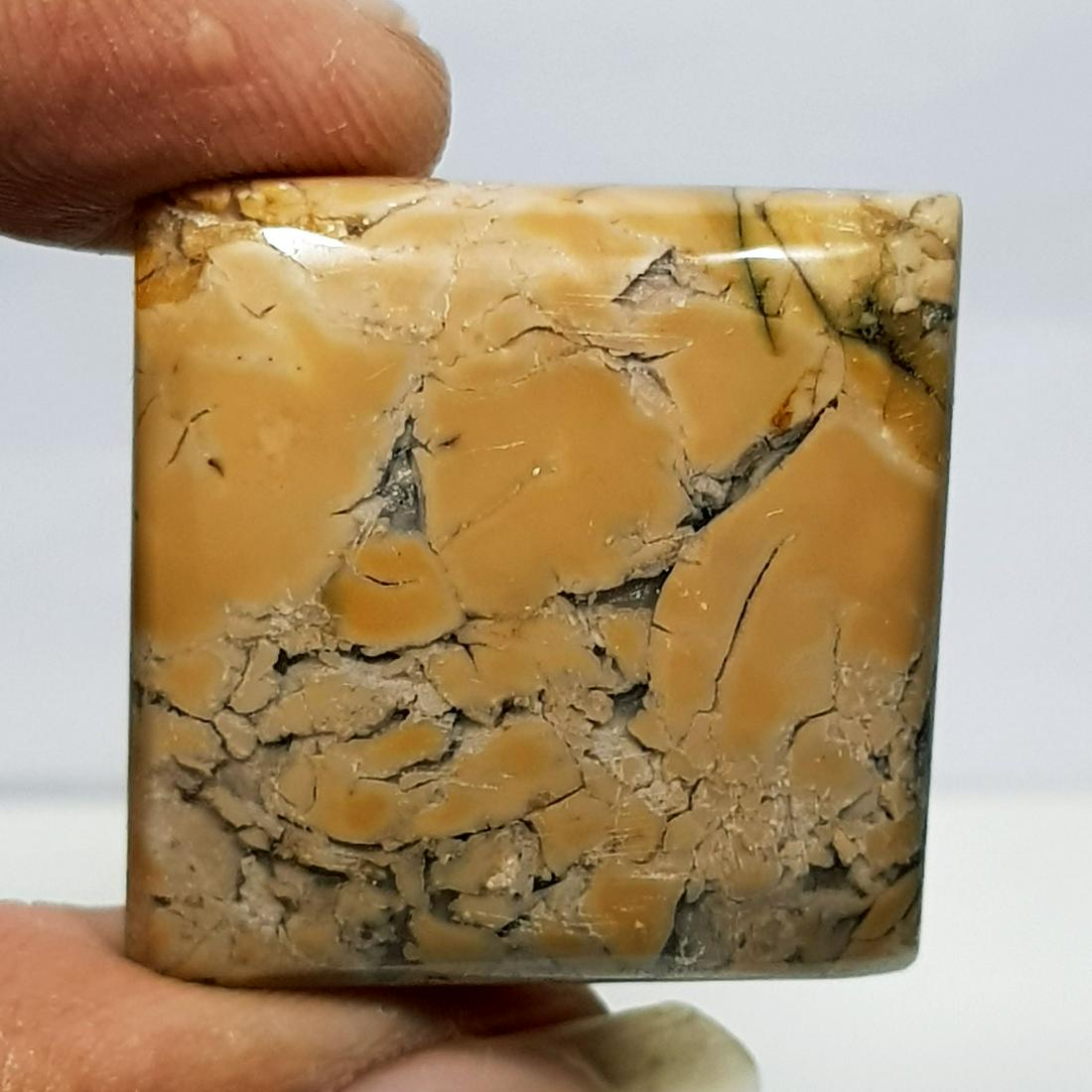 48.75 ct Natural Thunder Agate (1 of 6)