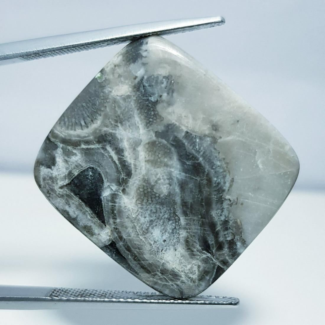 23.35 ct Natural Exotic Jasper (1 of 5)