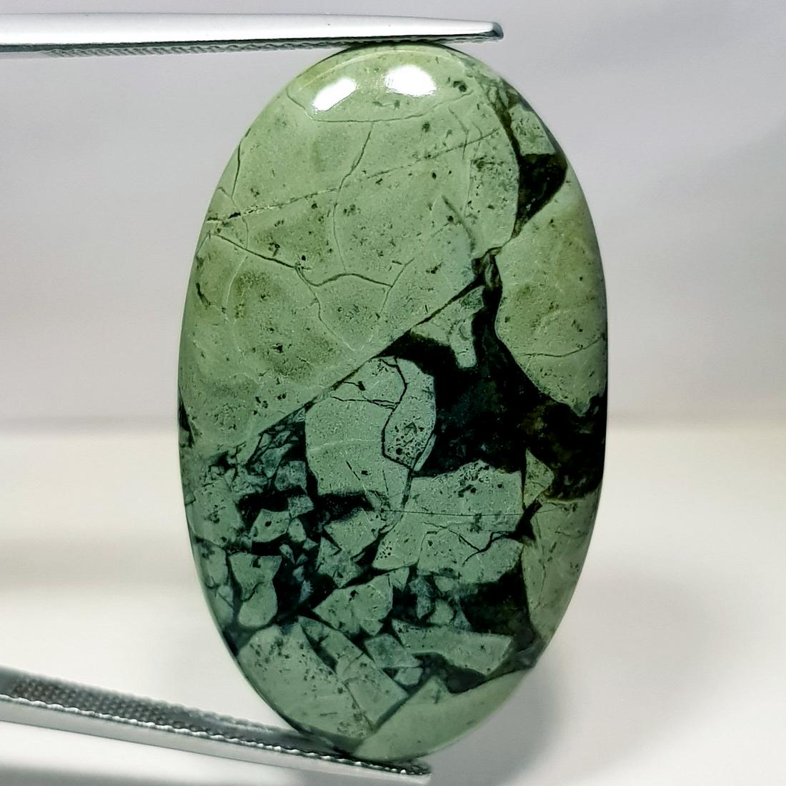 35.05 ct Natural Bracketed Turquoise (1 of 5)