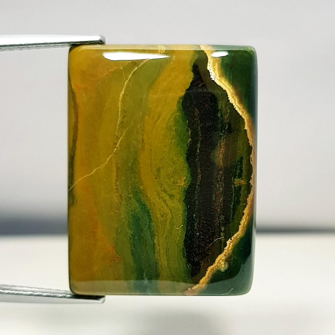 29.85 ct Natural Ocean jasper (1 of 5)