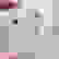 item-75655079=6