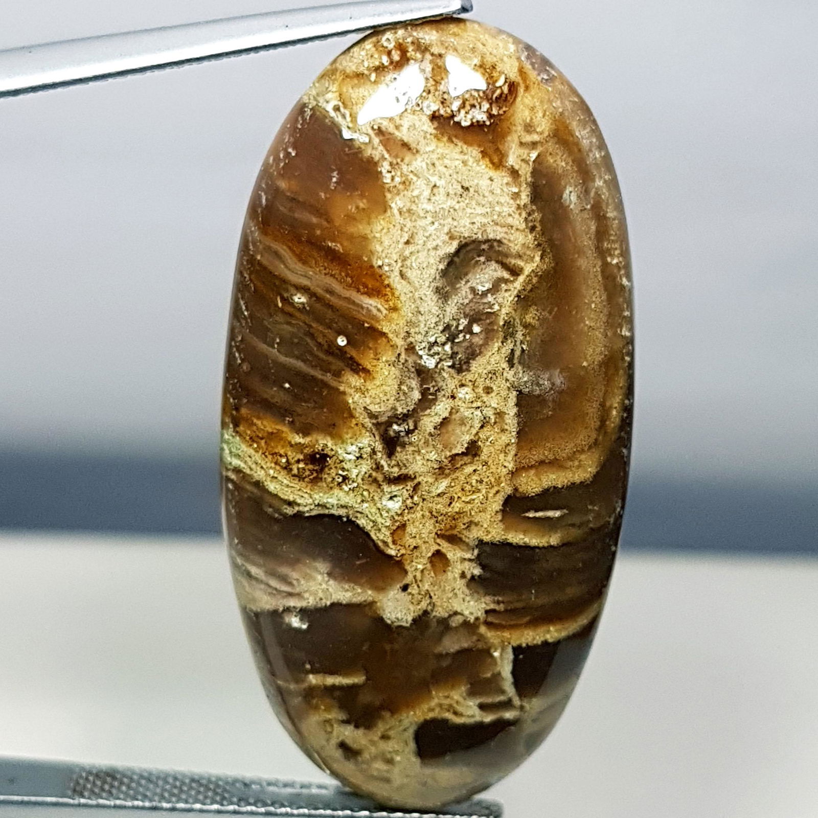 35.55 ct Natural Thunder Agate (1 of 6)