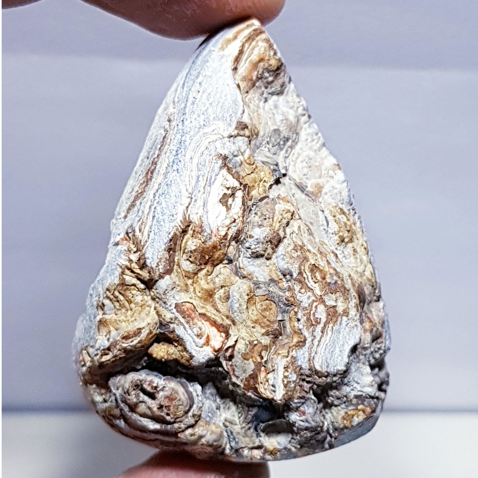 77.20 Dezert Drucy (1 of 6)