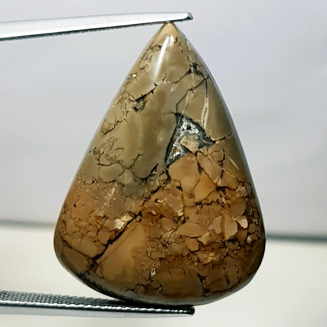 27.80 ct Natural Thunder Agate (1 of 6)