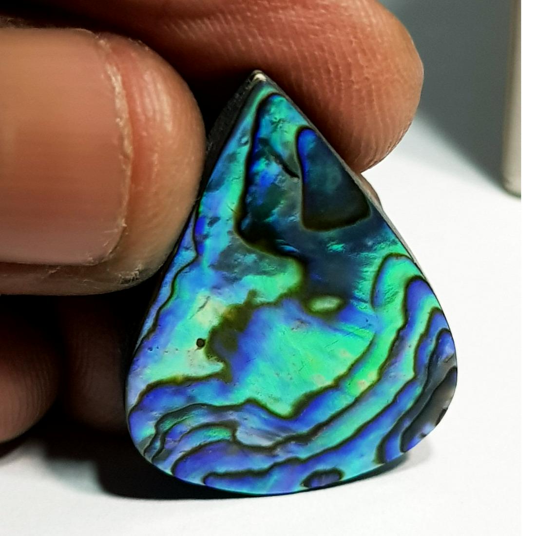 21.42 ct  Australian Abalon (1 of 6)