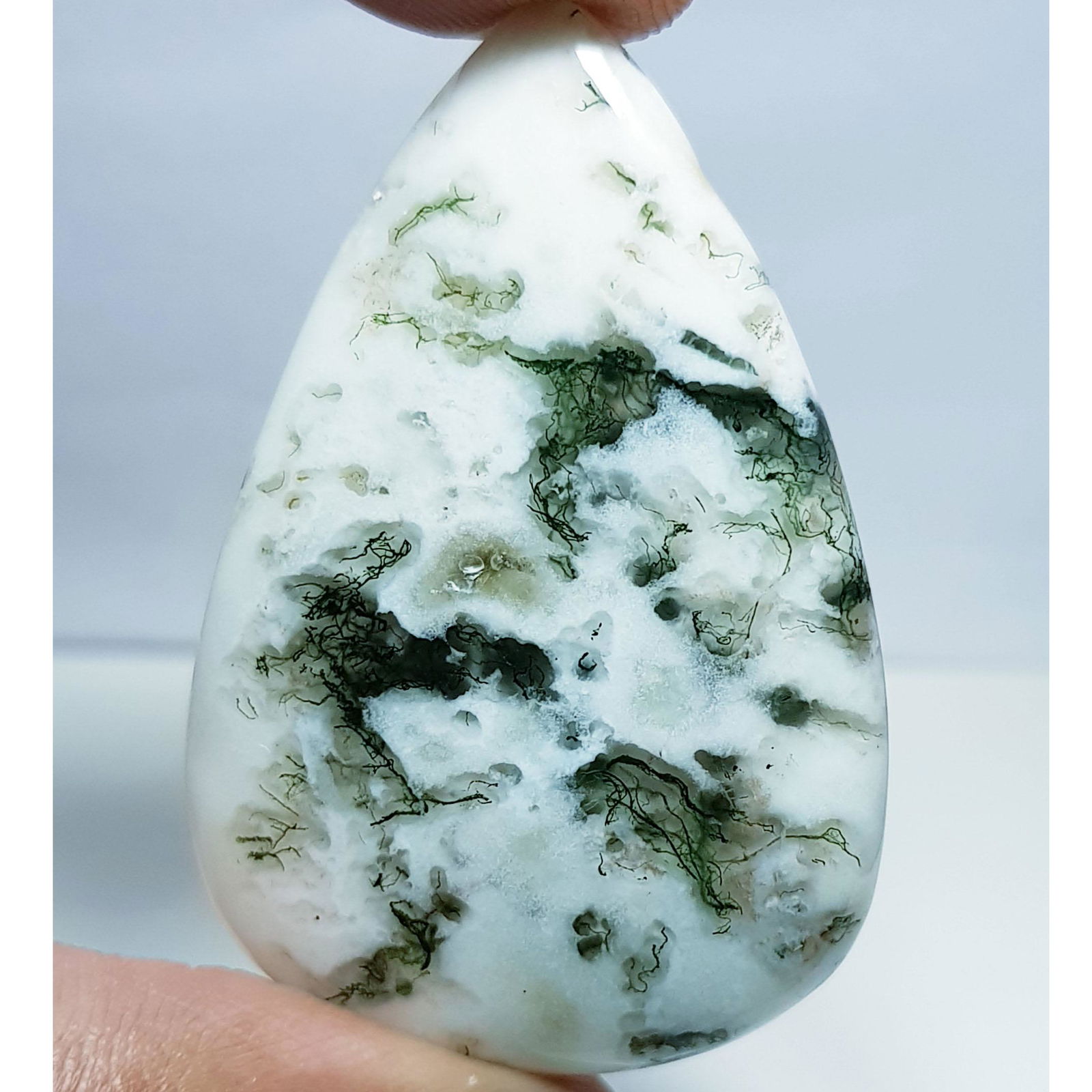 83.20 ct Natural Tree Jasper (1 of 5)